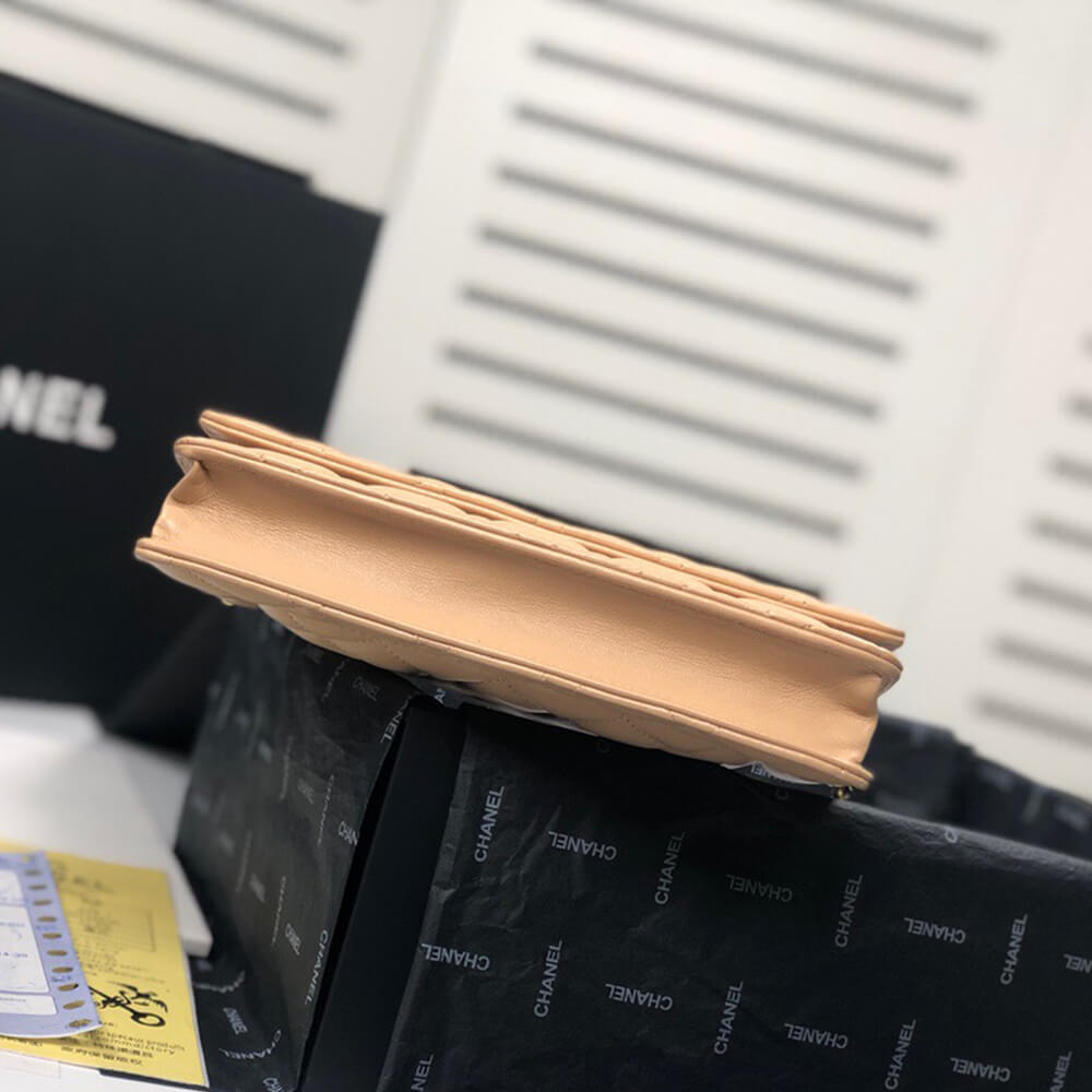 Ch*el wallet on chain